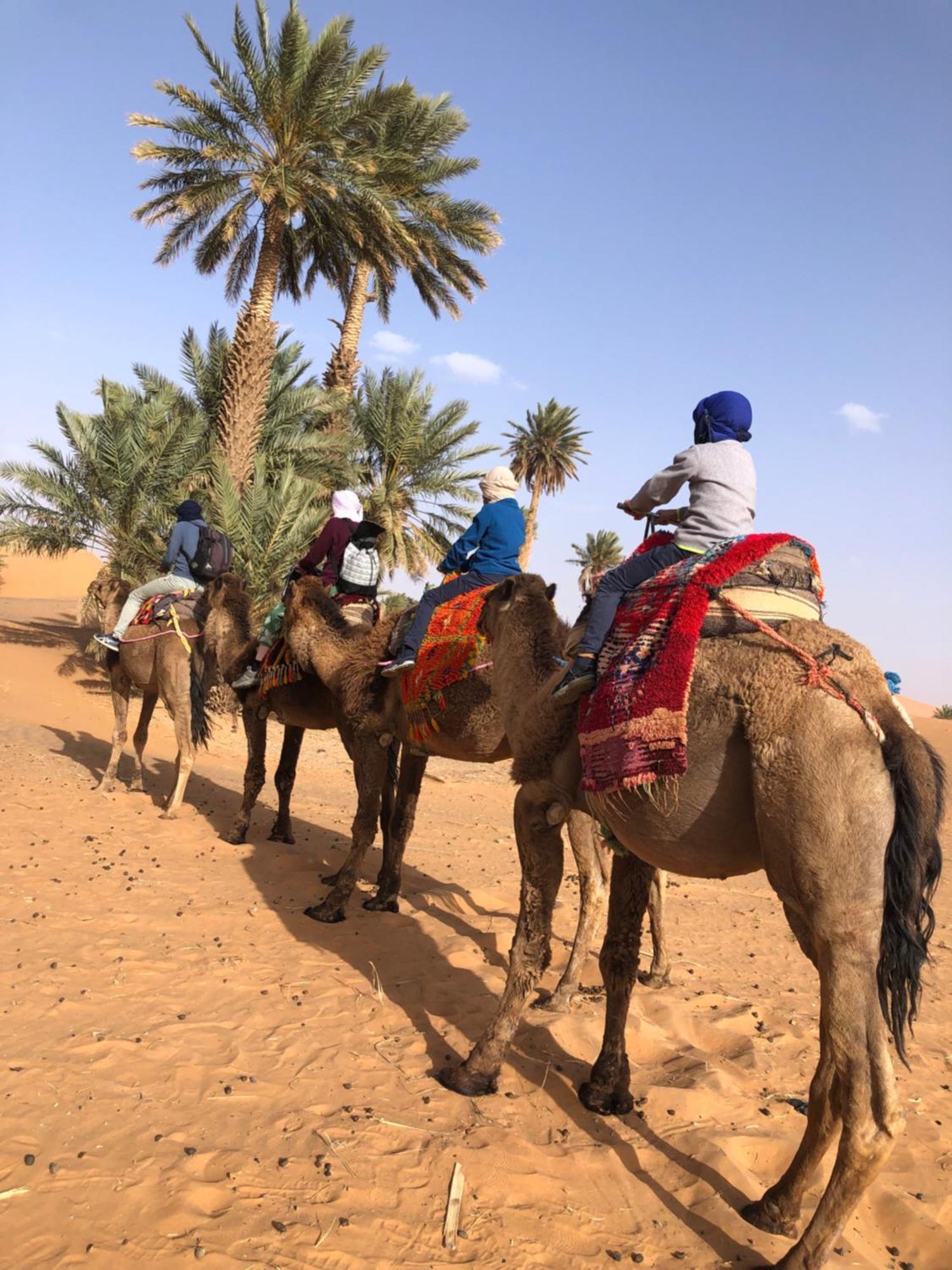 Bivouac Le Petit Prince Merzouga Eksteriør billede