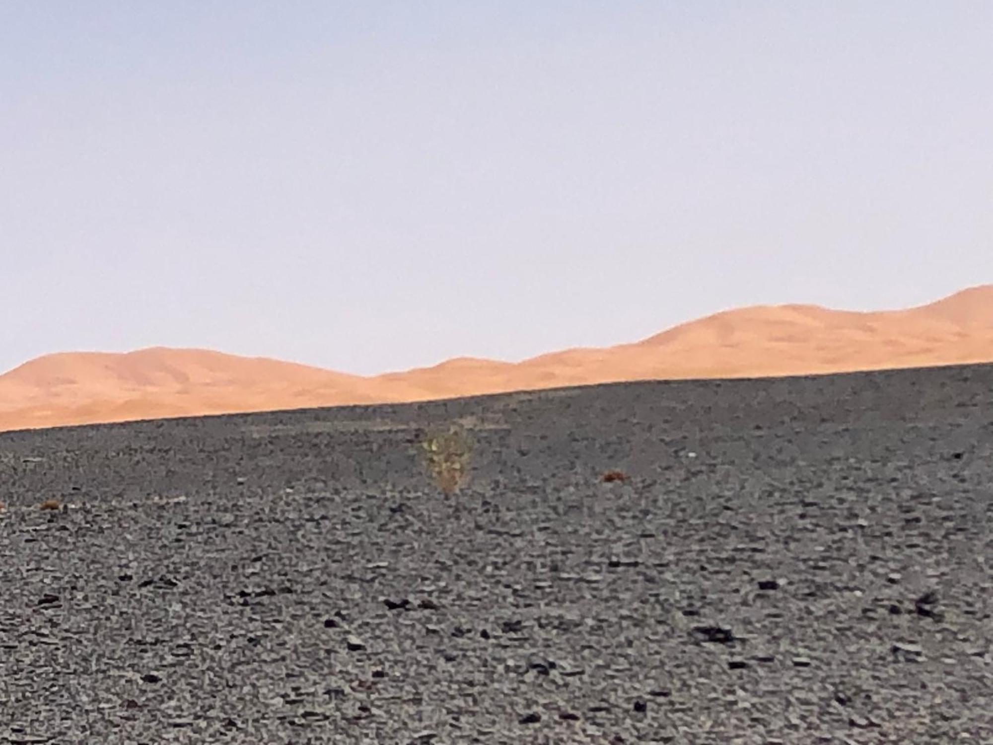 Bivouac Le Petit Prince Merzouga Eksteriør billede